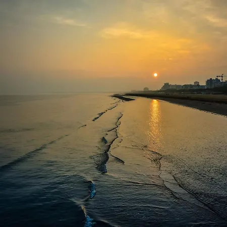 Seaside With Terrace